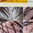 더블유엠뷰티 이미지
