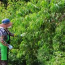 석포농장2 이미지