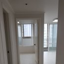 대진화학 이미지