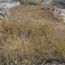 남해-296 이미지