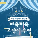 다솜고양이메디컬센터 이미지