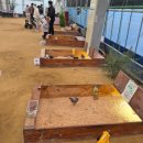 동보농장 이미지