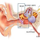 퍼스트다이빙 네이버블로그