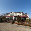 커피와소나무&청년피자 음봉점