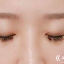 다원뷰티아카데미