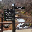 주봉 | 3월 봄비내리는날 주왕산 주봉코스 등산 다녀온 후기