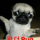 [현대백화점 중동점] 현대백화점 모바일 상품권 교환 후기