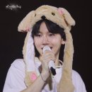 피오엘