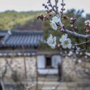 제천덕산중학교 네이버블로그