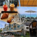 이면도로 | 내돈내산 | 고성 오션뷰 카페 커피고 by MOHB 솔직 후기 | 바다 바로 앞 베이커리 카페