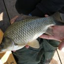 월척낚시터 이미지