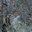 가는곡2 이미지