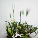 플로리스트(B) 이미지