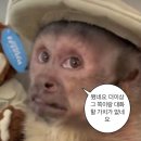 현대백화점 울산 와코루 이미지