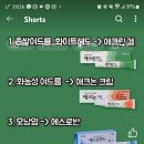 오호약국 티스토리