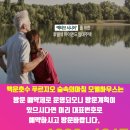 숲속의 아침 이미지