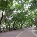 좋은 밤을 보내려면 확실한 예약 없이는 곤란해요, 라는 그 말, 그것 혹시 내가 놓치고 있는 인생의...