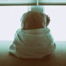 나를 찾아 떠나는 글쓰기 여행 이미지