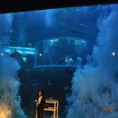 반딧불요양원 이미지