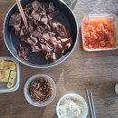 R&T House | 2025년 9월 셋째 주(9/15-9/21)의 일기.