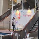 세정아울렛