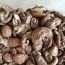 산속농장 이미지