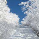 바람아래 이미지