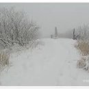 나살던고향 이미지