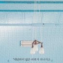 돈사냥