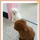 정화노인요양원 이미지