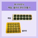 후기이유식 케일, 셀러리 큐브 만들기