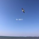 율암온천 이미지