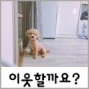 먹자 이미지