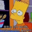 포니제주 이미지