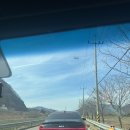 꽃나루공원 | 🌸 김해 매화 명소 용당나루 매화공원 방문후기 김해 매화꽃 만개 봄꽃 명소 3월8일 다녀옴