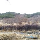 고전초등학교고남분교장 | 하동군 토지(임야) 경매, 고전면 전도리 토지(임야) 경매