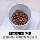 사무엘농장 | 일프로커피 원두 엘파라이소 리치피치 가성비 좋아요