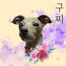 홍바비앙 | 아이쥐 블로그 - “내돈내산” 아이쥐 전용옷 멜빵바지 후기