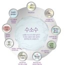 애널라이즈(주)