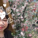 감성제빵소