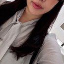 가을 여자 하객룩 출근룩 추천 ✨ 디녹 타이 블라우스 비사쥬 타이 블라우스 쉬폰블라우스 후기