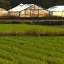 여성정보하우스 이미지