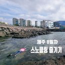 제주섬타임즈 | 연대 원담(위치, 주차) / 연대 포구와 근처 카페 돌고래 볼 수 있는 카페 연대/ 제주 숙소 더인정 옥상편