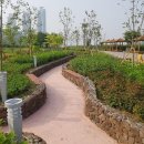 호수공원3로 이미지