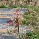 홍가농장 이미지