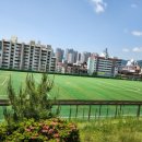 도계체육공원 이미지