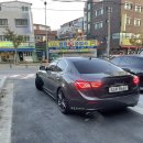 헬로우댕댕 이미지