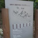 무릉계곡 진입로 이미지