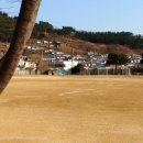 묵호초등학교 Daum카페