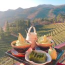 보성아이스크림 이미지